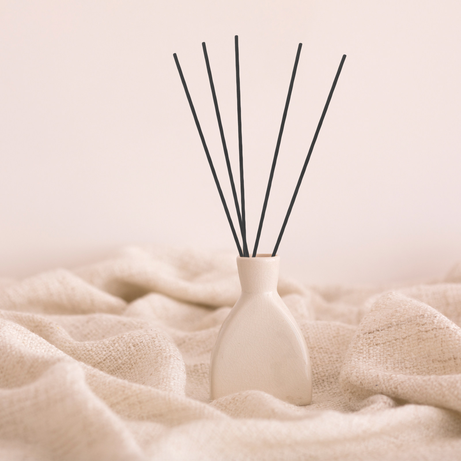Home Office Bathroom - 100 Pezzi Bastoncini Diffusori in Fibra