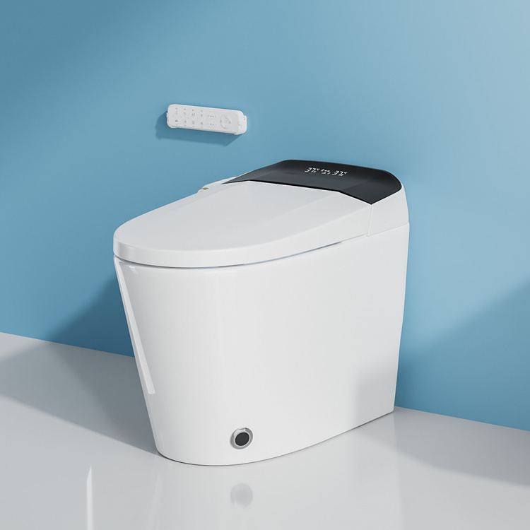 WC Intelligente con Sensore di - Home Bathroom Decor recensione e prezzo