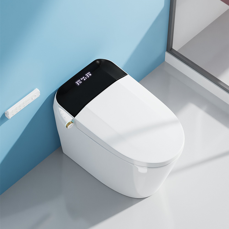 WC Intelligente con Sensore di - Home Bathroom Decor recensione e prezzo