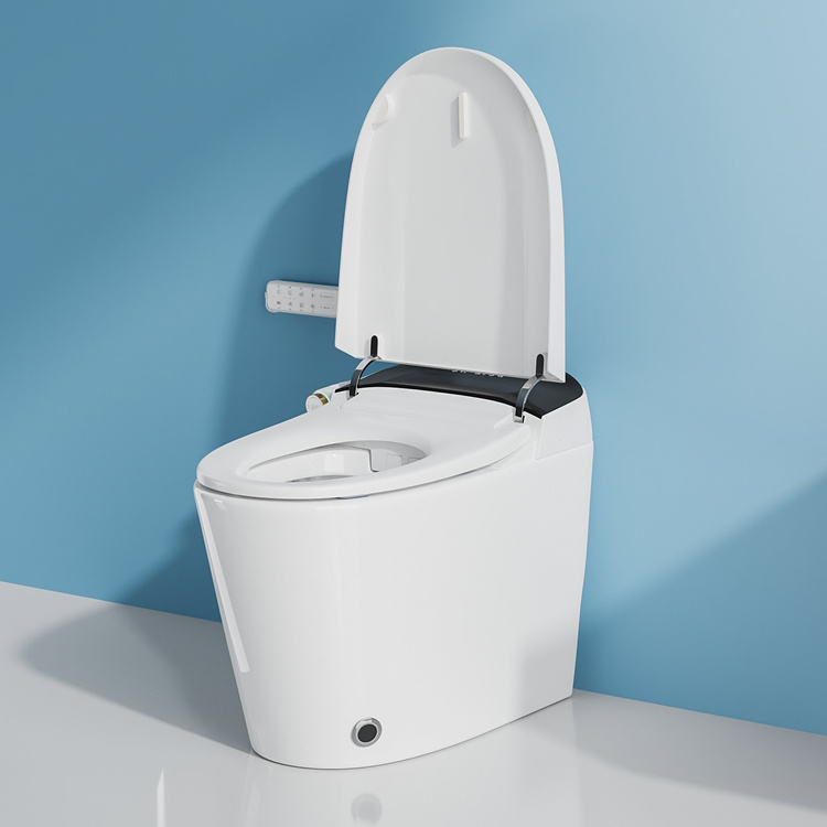 WC Intelligente con Sensore di - Home Bathroom Decor recensione e prezzo